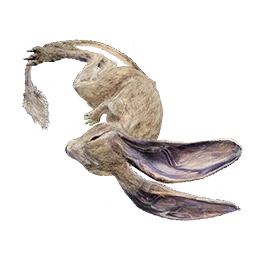 Mouse Corpse