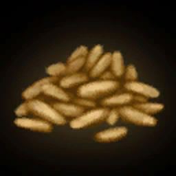 Pine Nuts