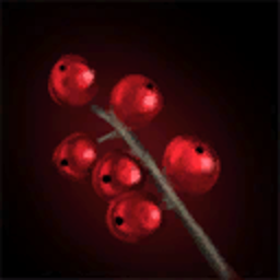 Winter Berries