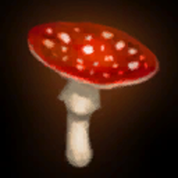 Amanita Mushrooms