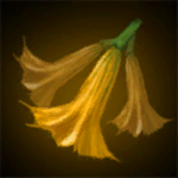 Trompettes des Anges