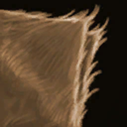 Pelle di Animale