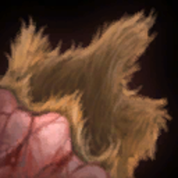 Raw Animal Hide