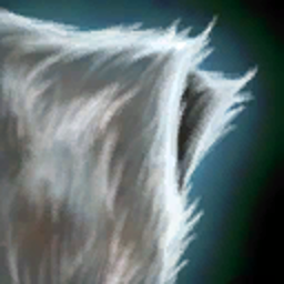 Raw Arctic Wolf Pelt