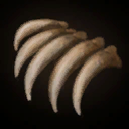 Bear Claws
