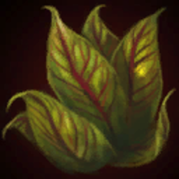 Bloodvein