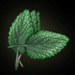 Foglie di Menta Gatta
