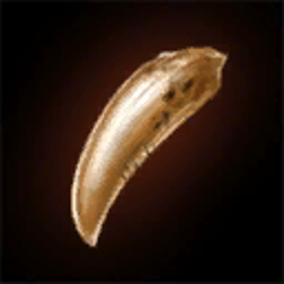 Crocodile Tooth