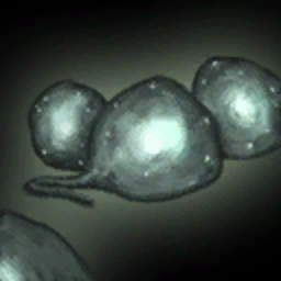 Earth Blossom Seeds