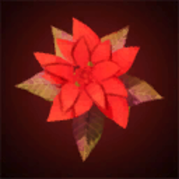 Poinsettia