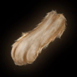 Rabbit Paw