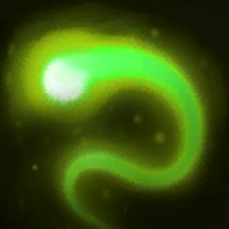 Spark of Life