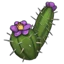 Thistle Seed