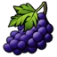 Священный виноград