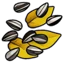 Sunflower Seed